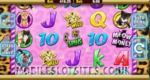 Meow money slot