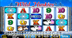 Wild Huskies bally slot