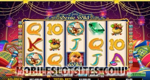 Genie Wild Slot