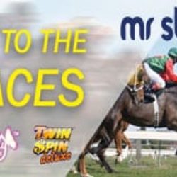 Mr Slot Promo